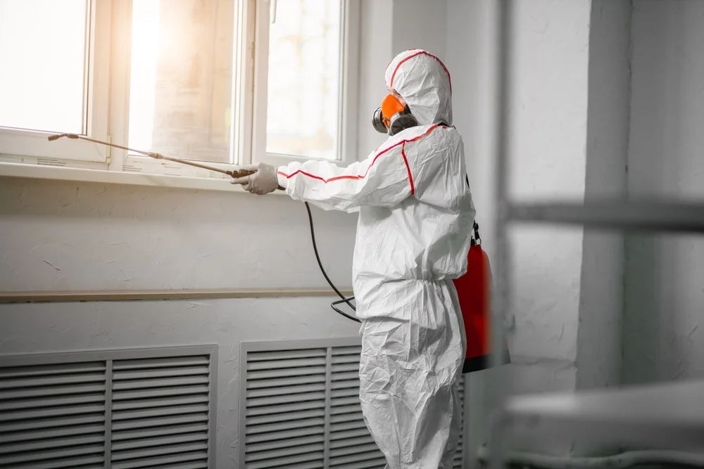 Professional mold remediation services in Pooler, GA